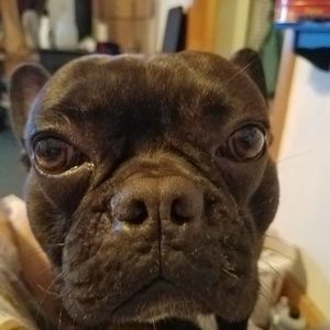 Meet your Posher, Janet